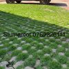 Raizon Grass Paver - Thumbnail 2